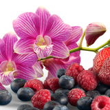 Quenched - 'Orchid Berry' Wild orchid + Berries